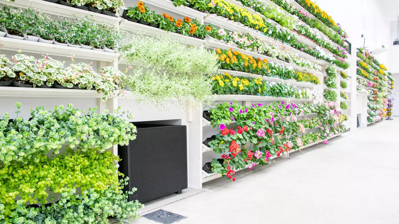 Vertical garden display featuring a variety of colorful flowers and greenery arranged on shelves in a bright, well-lit space.