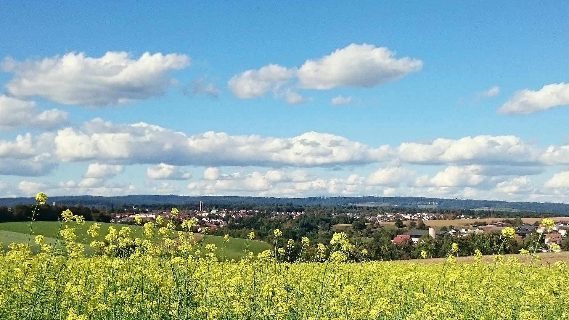 d&b Corporate Social Responsibility EMAS Validation Keyvisual Meadow