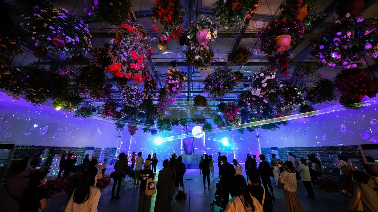 A crowd of people stands under a ceiling adorned with hanging flower arrangements, illuminated by colorful lights and projections.