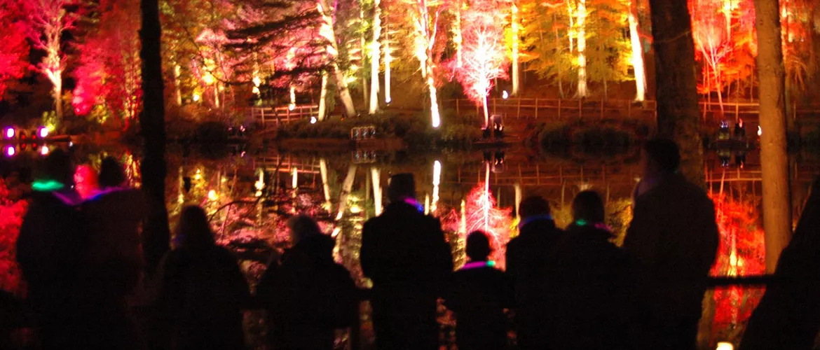 Enchanted with d&b.